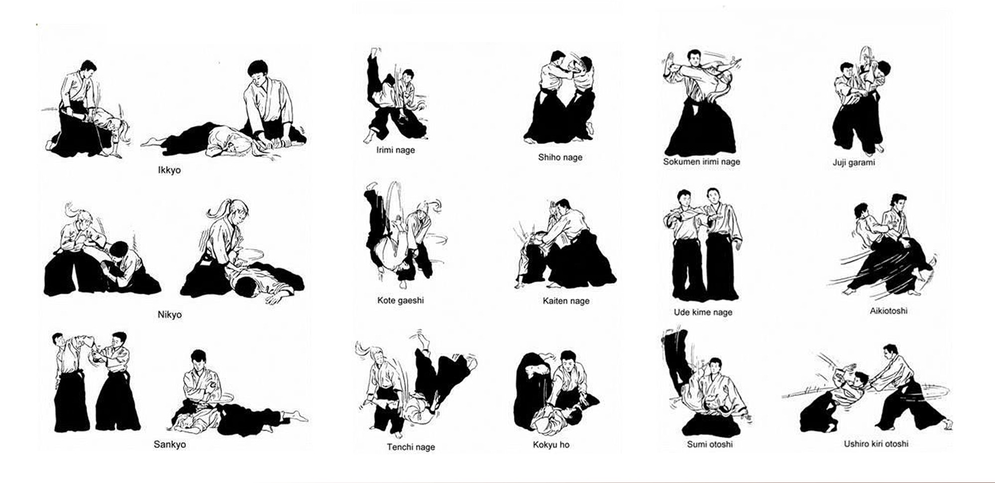 Les arts martials traditionnel japonais. Aikido à Montréal